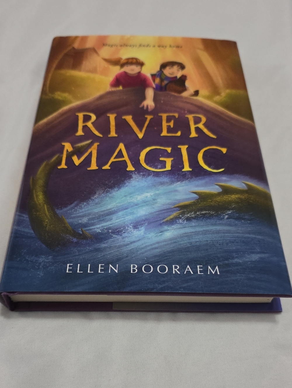 River Magic by Ellen Booraem - Hardcover